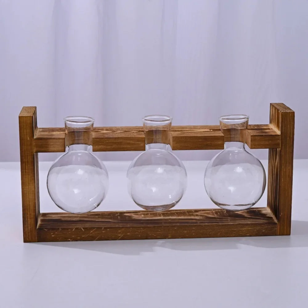 Tabletop Glass Planter Propagation Station Hydroponic Plant Vase with Wooden Tray Flower Container for Home Office Decoration