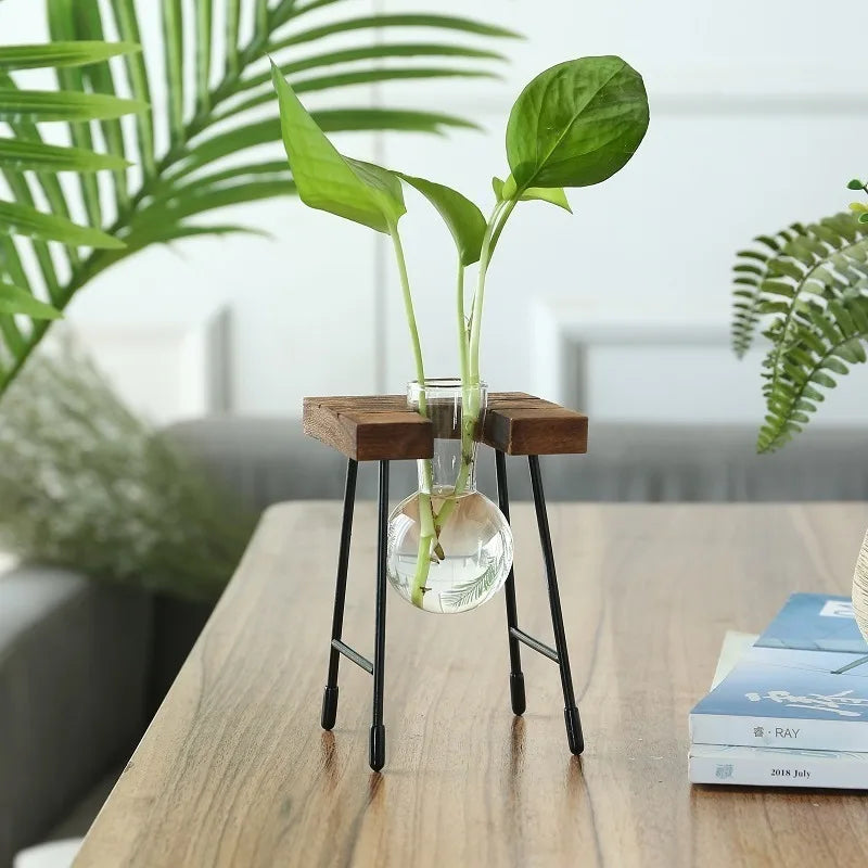 Wooden Frame Hydroponic Planter with Glass Bulb - Indoor Bonsai Plant Vase for Home Tabletop Office Desk Modern Decor