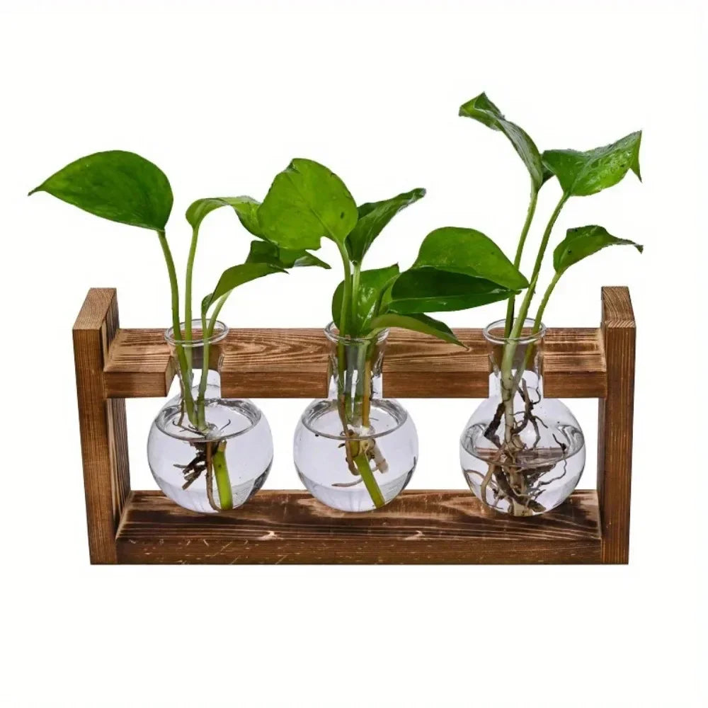 Tabletop Glass Planter Propagation Station Hydroponic Plant Vase with Wooden Tray Flower Container for Home Office Decoration