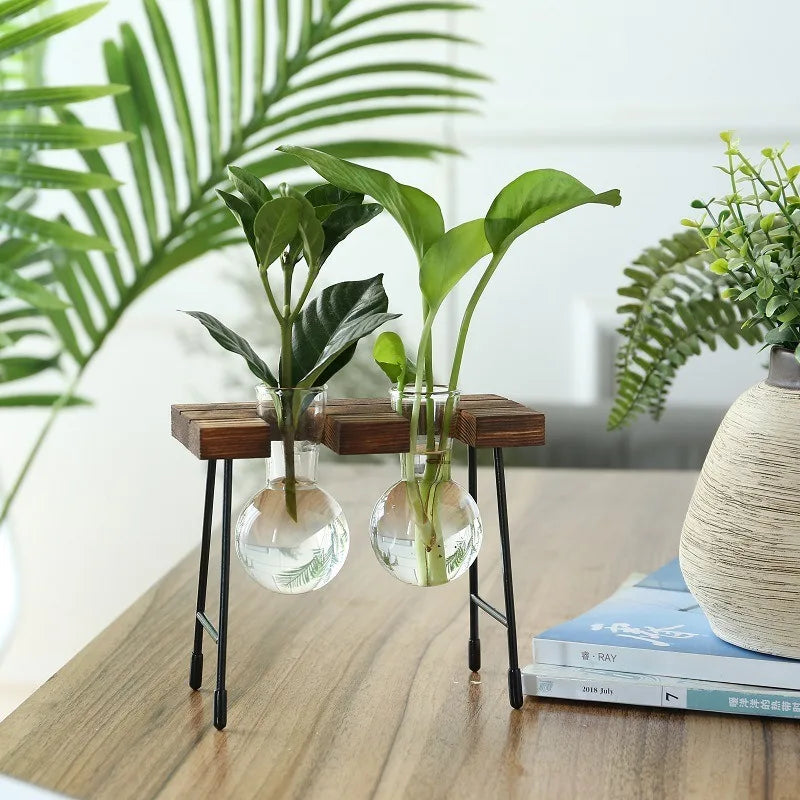 Wooden Frame Hydroponic Planter with Glass Bulb - Indoor Bonsai Plant Vase for Home Tabletop Office Desk Modern Decor