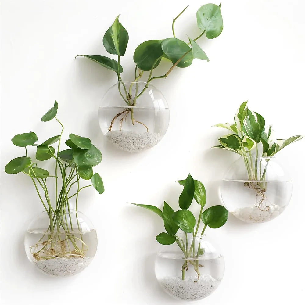 2/4/6 Pack Wall Hanging Glass Terrarium - Self-Watering Hydroponic Planter for Home Office Decor, Handmade Round Crystal Vase
